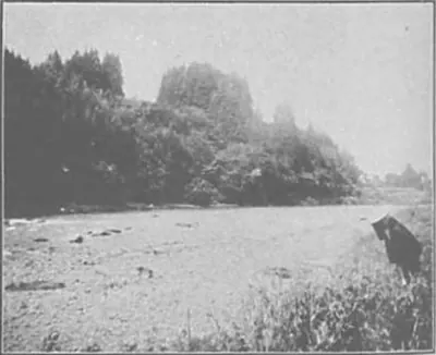 Kuriyagawa Palisade