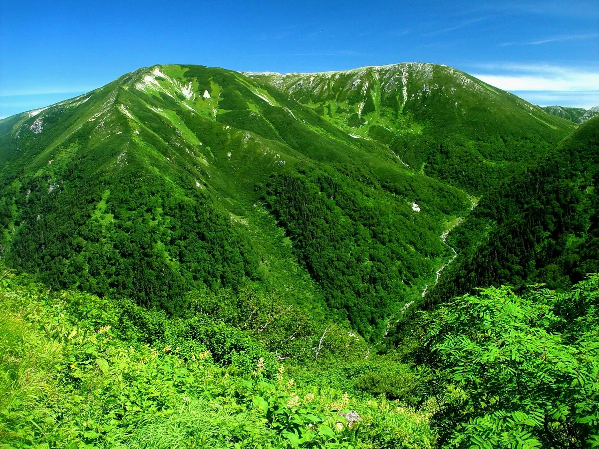 Mount Sugoroku