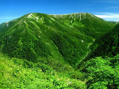 Mount Sugoroku