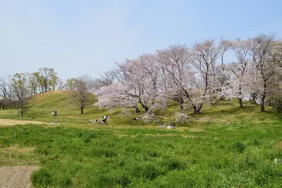 Komuroyama Kofun