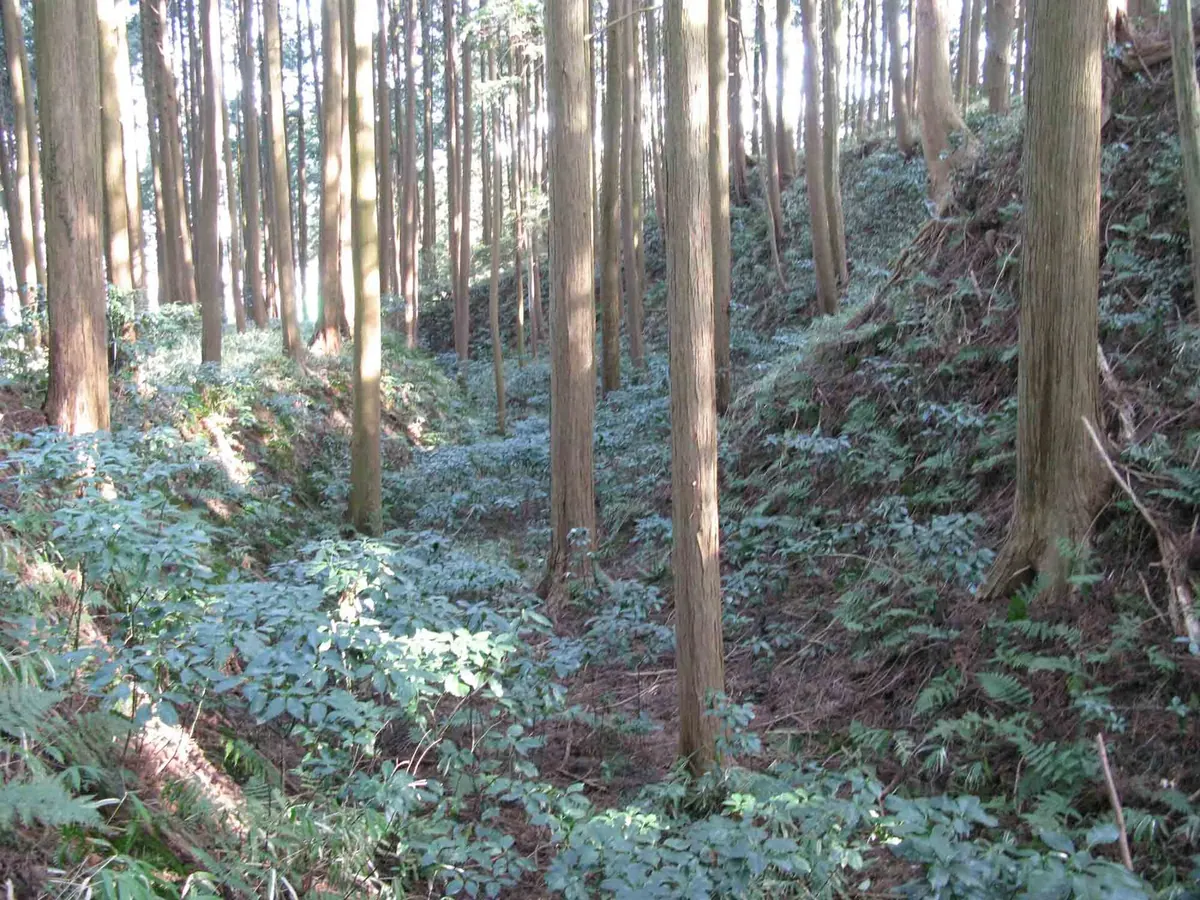 Furumiya Castle