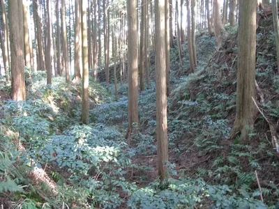 Furumiya Castle