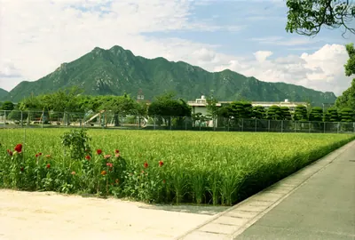 Mount Migita