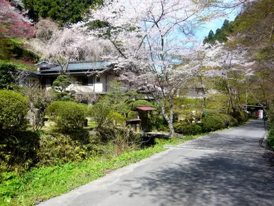 Yoshino Onsen