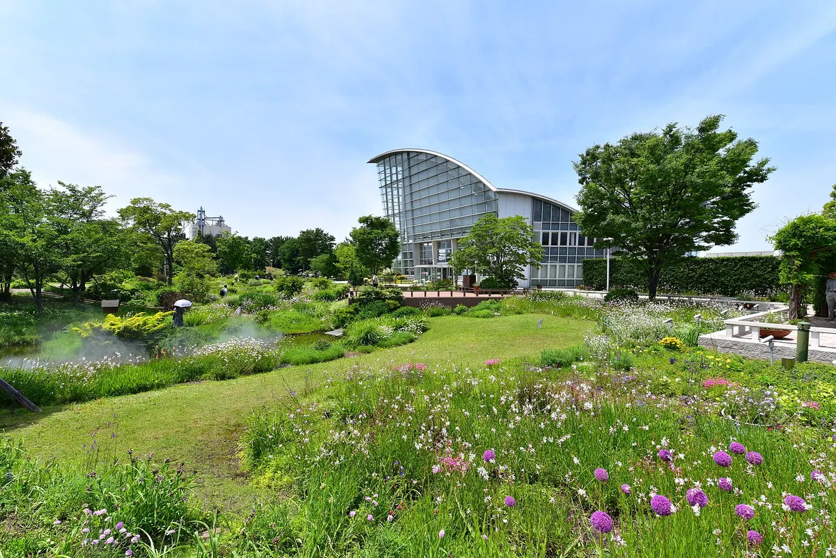 Nagoya Port Wildflower Garden Bluebonnet