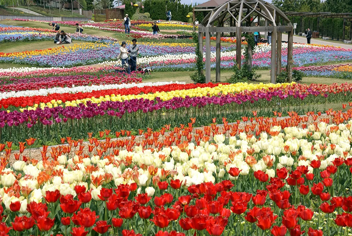 Akashi Kaikyo National Government Park