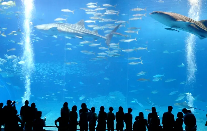 Okinawa Commemorative National Government Park
