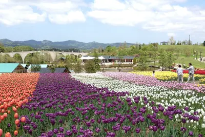 Echigo Hillside Park