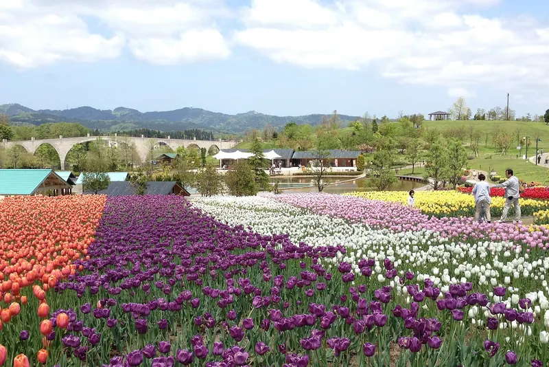 Echigo Hillside Park