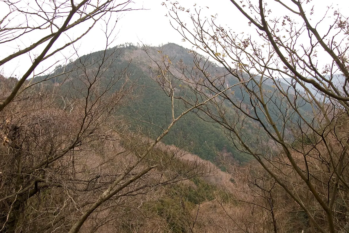 Mount Tōnomine