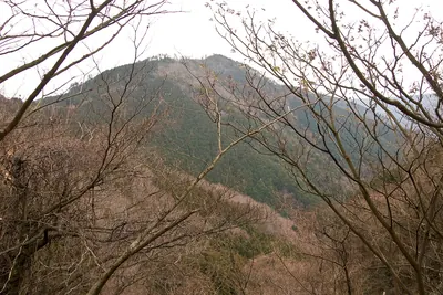 Mount Tōnomine