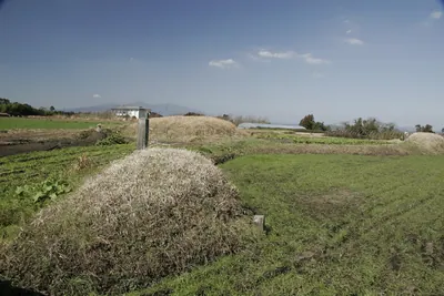 Tsukazaki Kofun Group
