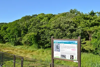 Hakayama Kofun