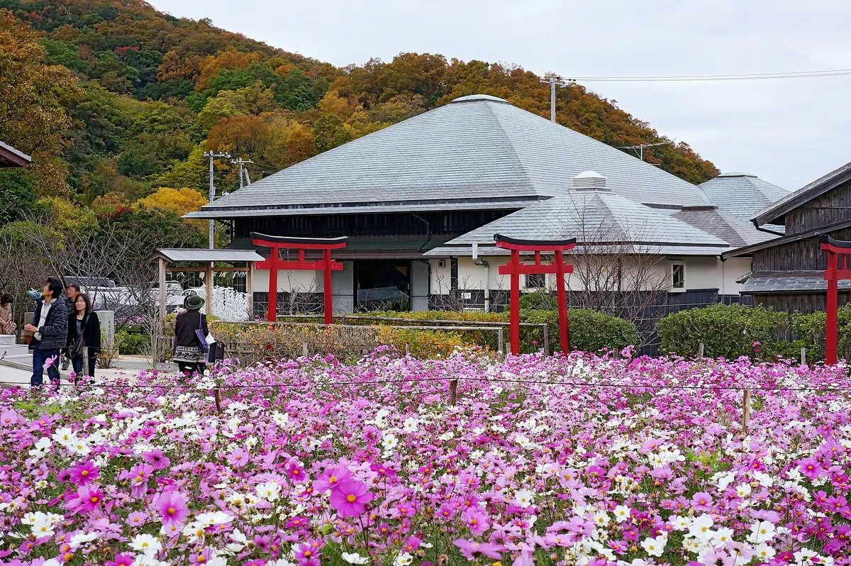 Tsuboi Sakae Memorial Museum