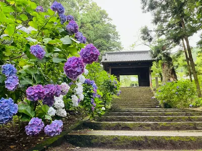 Daichū-ji Temple