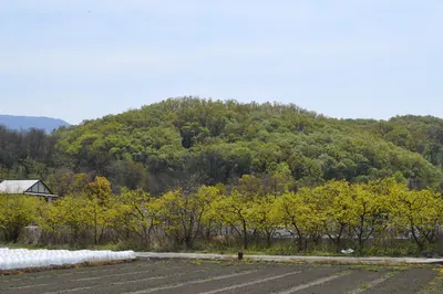 Ōmaruyama Kofun