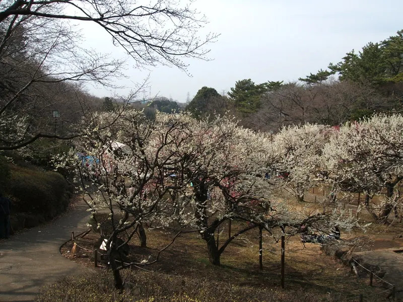 Ōkurayama Park