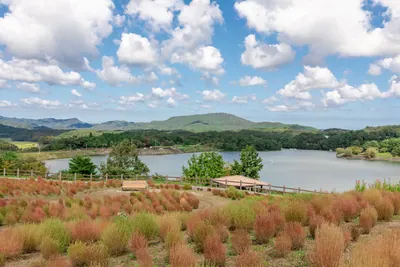 Oita Agricultural Park