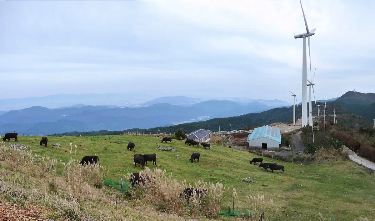 Ōkawara Plateau