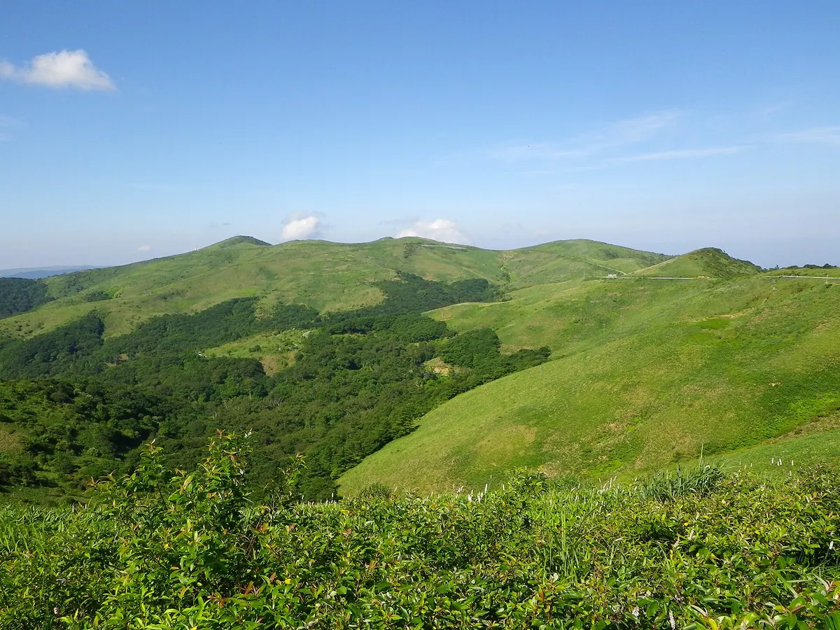 Okawamine