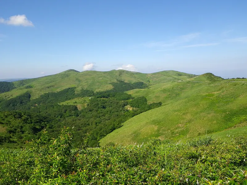 Okawamine