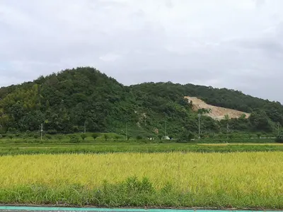 Ōtaminami No. 5 Burial Mound