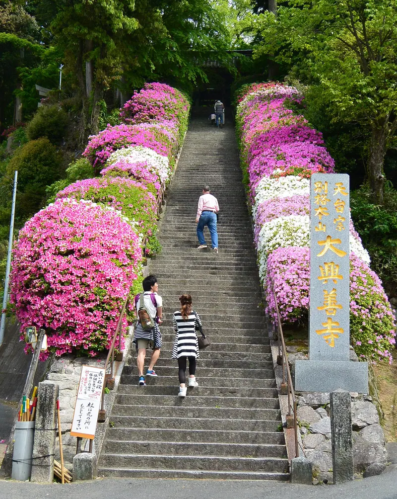 Daikōzen-ji Temple