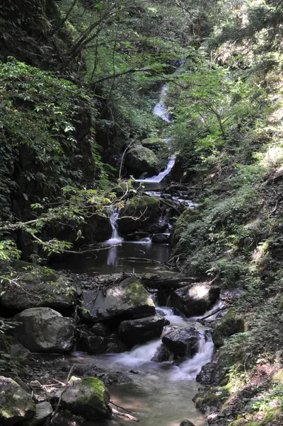 Tendaki Ravine
