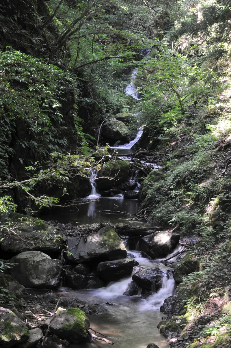 Tendaki Ravine