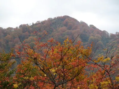 Mount Tengu