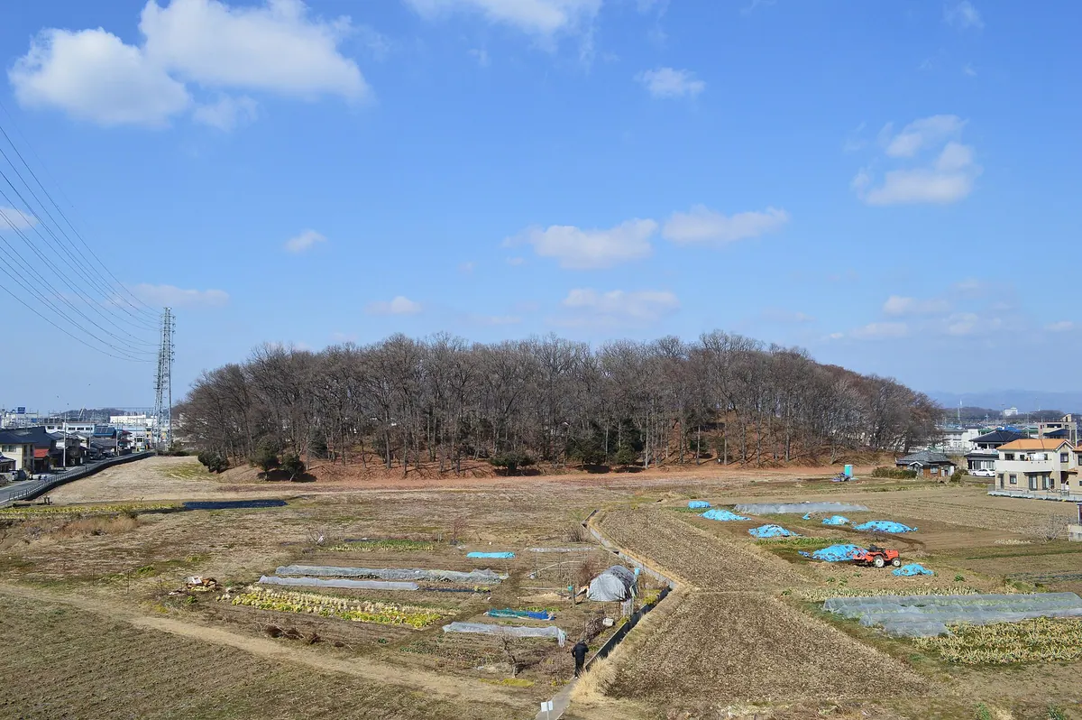 Ōta Tenjin-yama Kofun