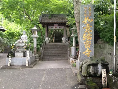 Nyoirin-ji Temple (Ogori)