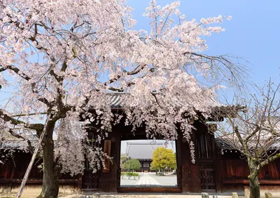 Myōgaku-ji Temple