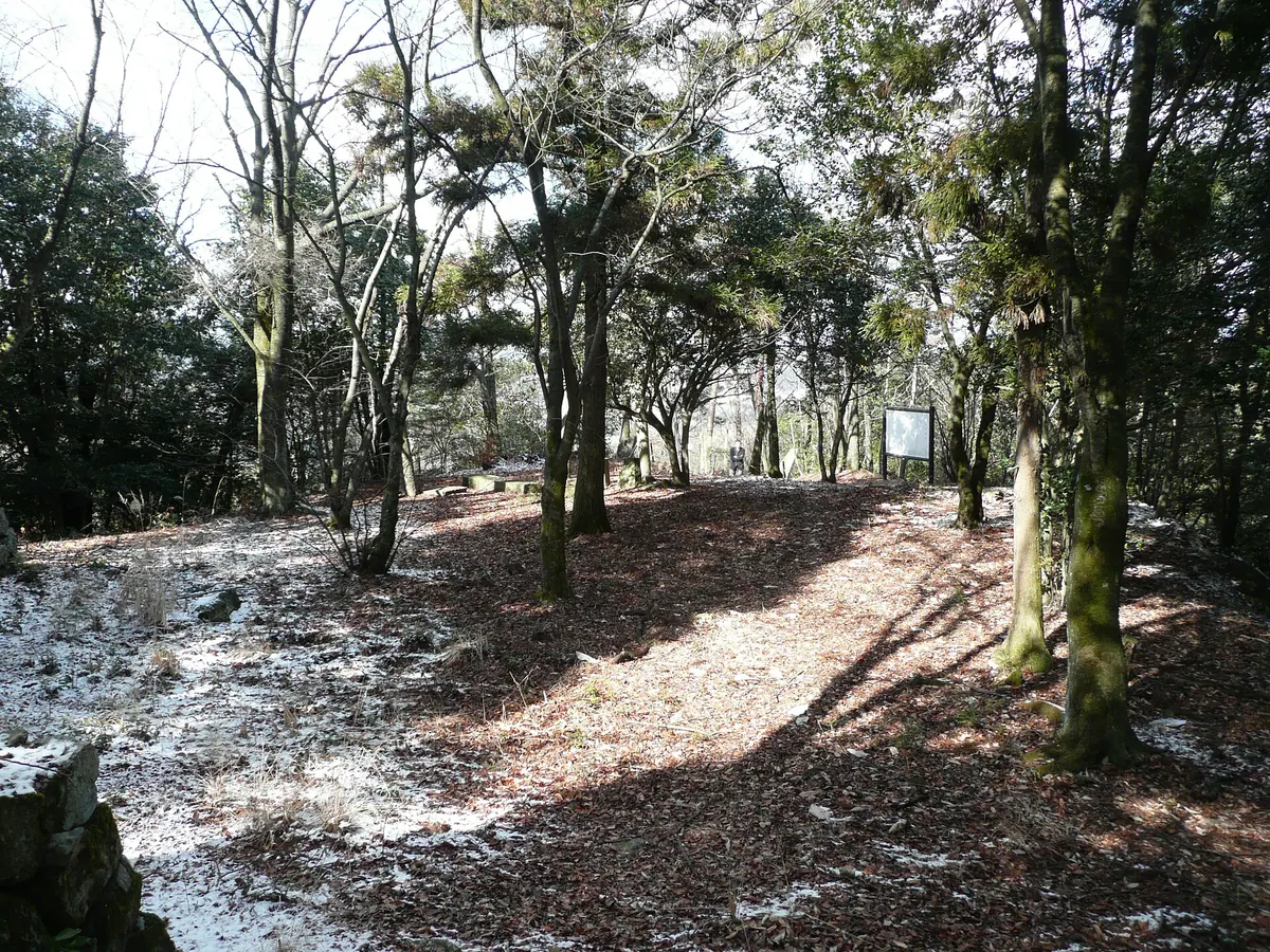 Tsumaki Castle