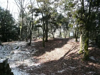 Tsumaki Castle