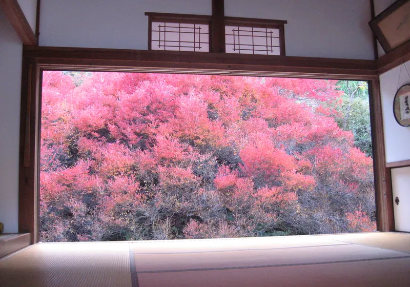 Ankoku-ji Temple (Toyooka)