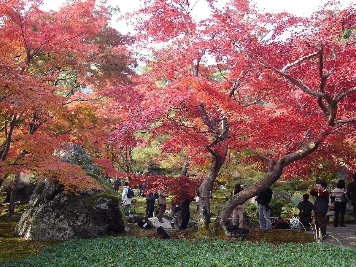Hōgon-in