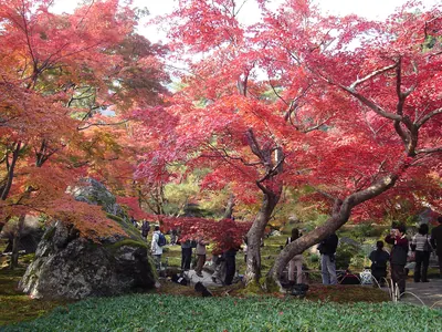Hōgon-in