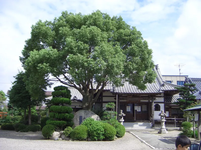 Mitsuzō-in Temple