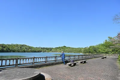 Obata Green Park