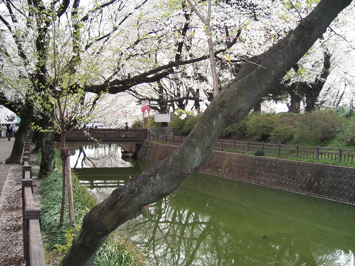 Koizumi Castle