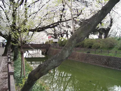 Koizumi Castle