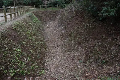 Kogane Castle