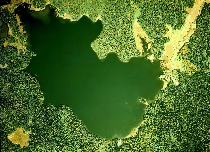 Ozenuma