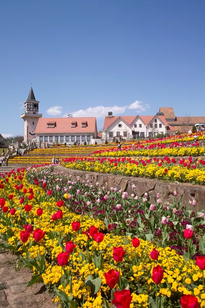 Heidi's Village