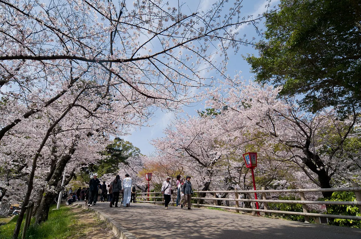 Okazaki Park