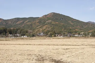 Mount Minedera