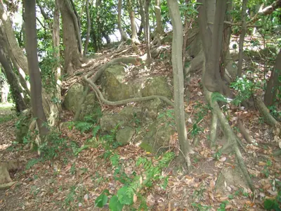 Tenjinyama Castle (Inaba)