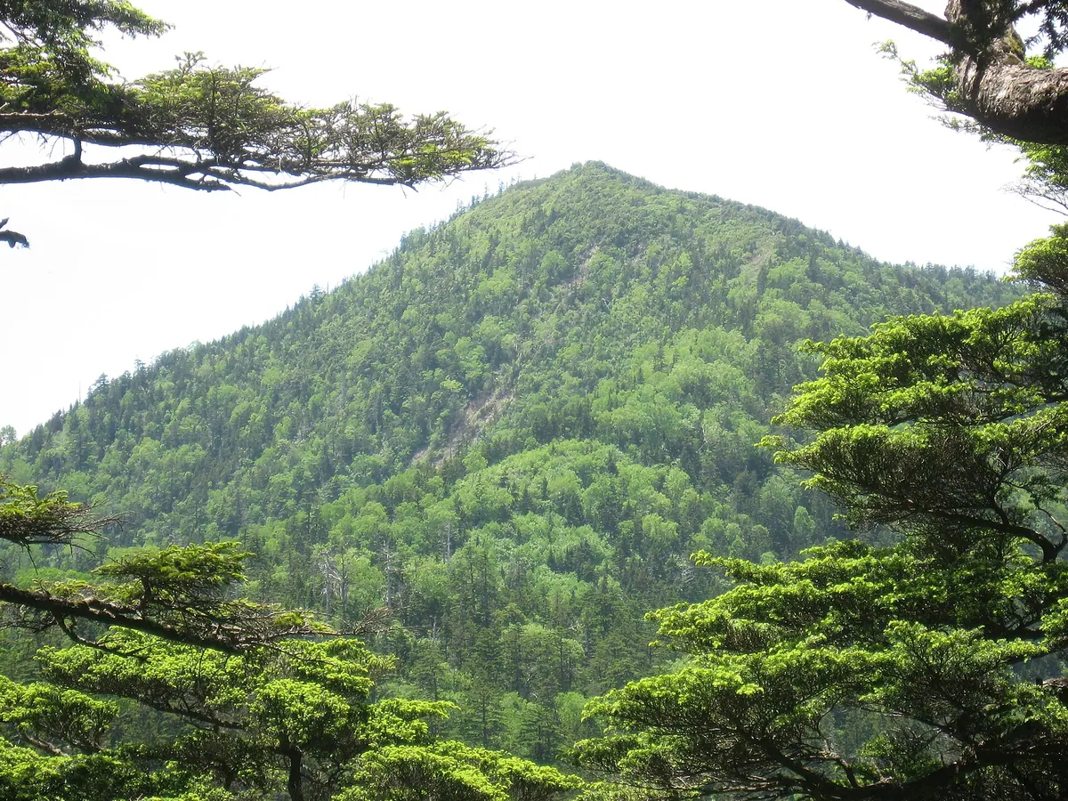 Mount Taishaku