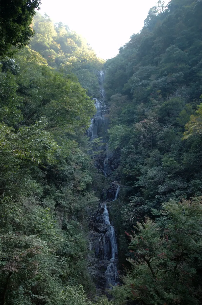 Josei Falls